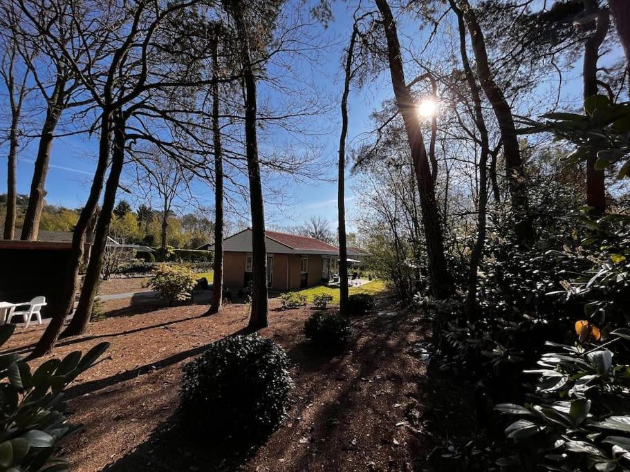 Fijne plek met eigen bos 2000m2 en GRATIS linnen en handdoeken!! Denekamp Buitenkant foto